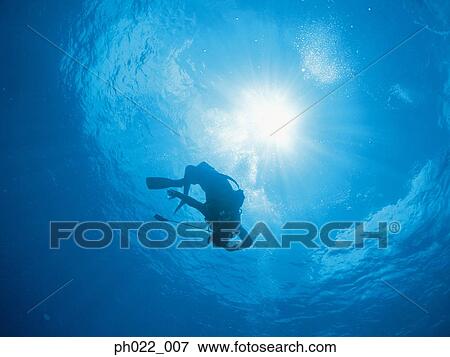 Scuba diver underwater, silhouette View Large Photo Image Stock Photo - Scuba diver underwater, silhouette. Fotosearch