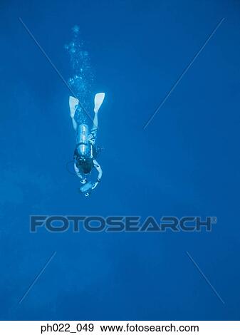 Scuba diver underwater View Large Photo Image Stock Photo - Scuba diver underwater. Fotosearch
