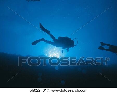 Scuba divers and ocean floor, silhouette View Large Photo Image Stock Photo - Scuba divers and ocean floor, silhouette. Fotosearch