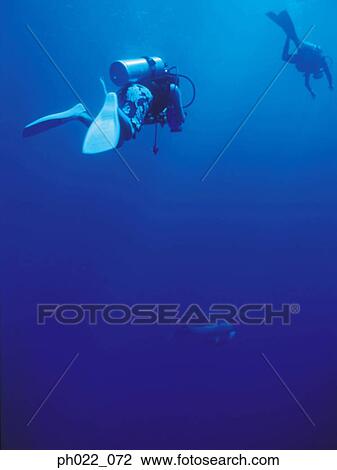 Stock Image - Scuba divers, rear view. Fotosearch