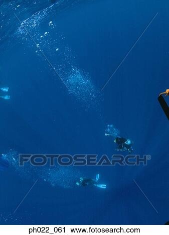 Scuba divers underwater View Large Photo Image Stock Image - Scuba divers underwater. Fotosearch