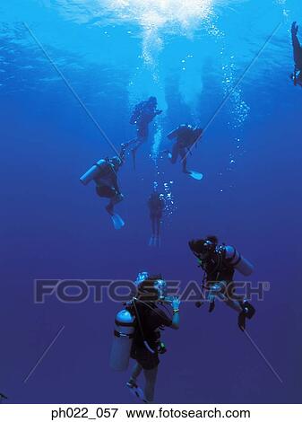 Stock Photo - Scuba divers underwater. Fotosearch