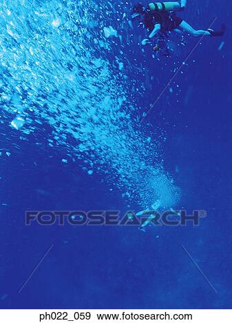 Scuba divers underwater View Large Photo Image Stock Photo - Scuba divers underwater. Fotosearch