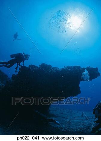 Scuba divers underwater, underwater view View Large Photo Image Stock Image - Scuba divers underwater, underwater view. Fotosearch