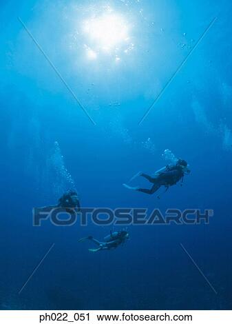 Scuba divers underwater, underwater view View Large Photo Image Stock Image - Scuba divers underwater, underwater view. Fotosearch
