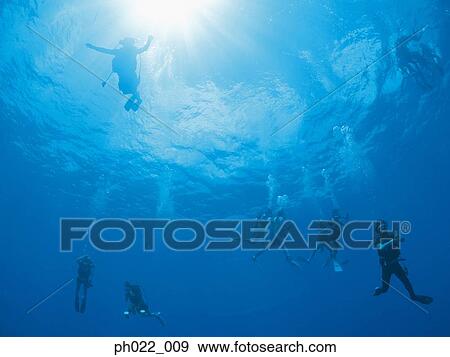 Scuba divers underwater, underwater view View Large Photo Image Stock Photo - Scuba divers underwater, underwater view. Fotosearch