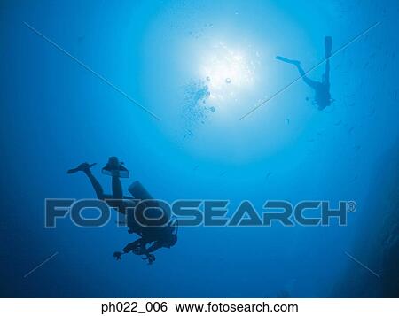 Two scuba divers underwater, silhouette View Large Photo Image Stock Photograph - Two scuba divers underwater, silhouette. Fotosearch