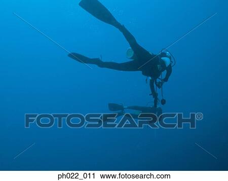 Two scuba divers underwater, underwater view View Large Photo Image Stock Image - Two scuba divers underwater, underwater view. Fotosearch
