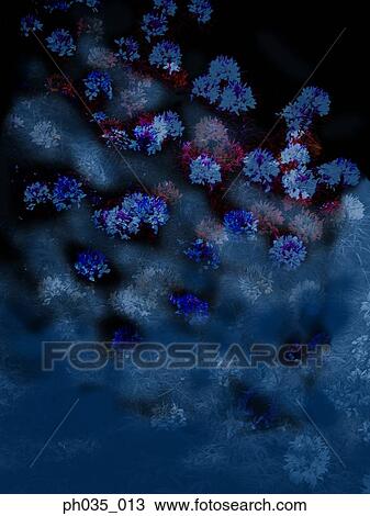 Stock Image - Abundance of carnation flower heads. Fotosearch