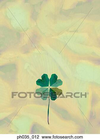 Stock Image - Leaves in the shape of a stalk of flower. Fotosearch