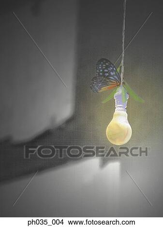 Picture - Monarch butterfly on hanging light bulb. Fotosearch