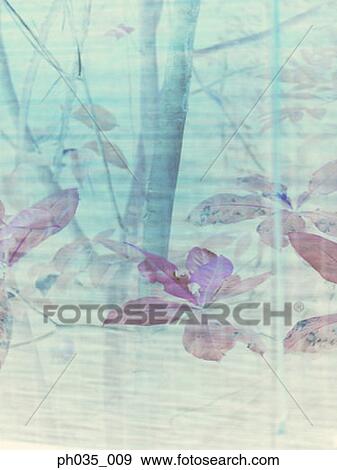 Painting of tree trunks, branches and leaves View Large Photo Image Stock Photo - Painting of tree trunks, branches and leaves. Fotosearch