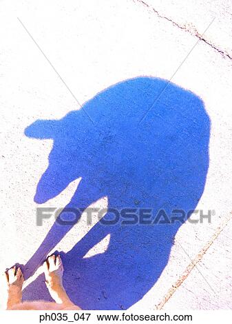 Shadow of a dog View Large Photo Image Stock Photo - Shadow of a dog. Fotosearch