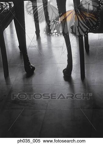 Silhouetted table legs and monarch butterflies View Large Photo Image Stock Photography - Silhouetted table legs and monarch butterflies. Fotosearch