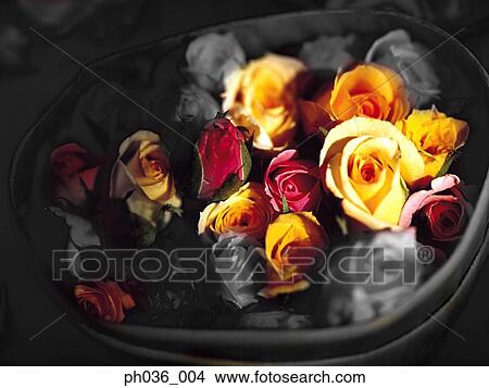 Basket of roses View Large Photo Image Picture - Basket of roses. Fotosearch