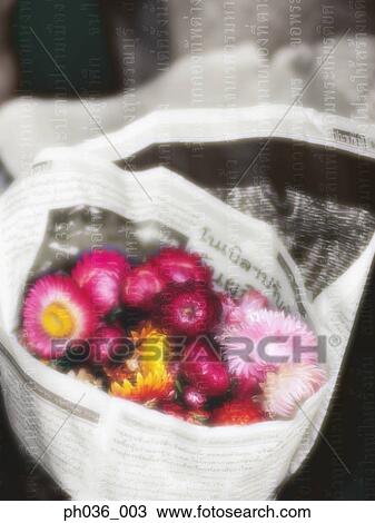 Bouquet of flowers wrapped with newspaper View Large Photo Image Stock Image - Bouquet of flowers wrapped with newspaper. Fotosearch