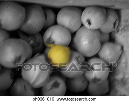 Box of pears, tomatoes and lemons View Large Photo Image Stock Photograph - Box of pears, tomatoes and lemons. Fotosearch