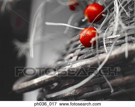 Cherries on straw basket View Large Photo Image Stock Photo - Cherries on straw basket. Fotosearch