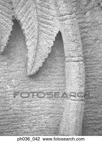 Engraved coconut tree on concrete wall View Large Photo Image Stock Image - Engraved coconut tree on concrete wall. Fotosearch