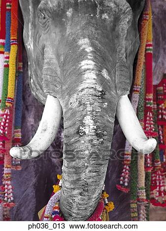 Statue of Elephant God View Large Photo Image Stock Image - Statue of Elephant God. Fotosearch