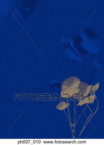Japanese painting of plants View Large Photo Image Stock Image - Japanese painting of plants. Fotosearch