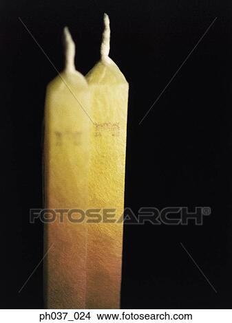 Pair of yellow candles View Large Photo Image Picture - Pair of yellow candles. Fotosearch