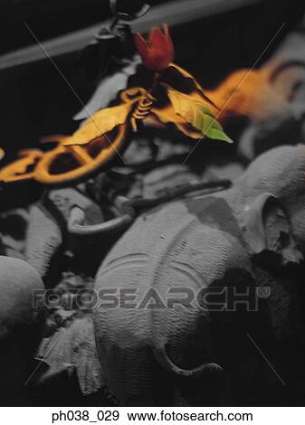 A tulip flower and miniature elephant figurines View Large Photo Image Stock Photo - A tulip flower and miniature elephant figurines. Fotosearch