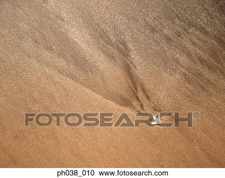 Stock Image - Sands and flower head. Fotosearch