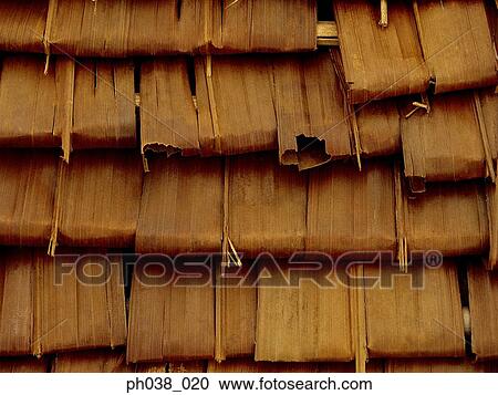 Well arranged dried banana leaves View Large Photo Image Stock Image - Well arranged dried banana leaves. Fotosearch