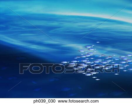 A school of fish in blue water View Large Photo Image Stock Image - A school of fish in blue water. Fotosearch