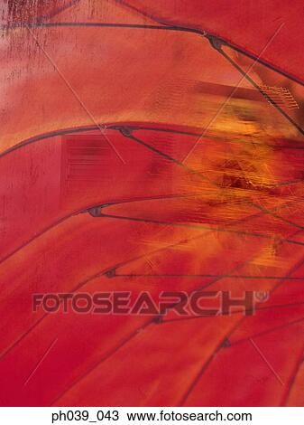 Close up of the stem of umbrella View Large Photo Image Stock Image - Close up of the stem of umbrella. Fotosearch