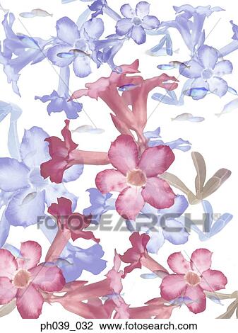 Painting of flower heads View Large Photo Image Stock Image - Painting of flower heads. Fotosearch