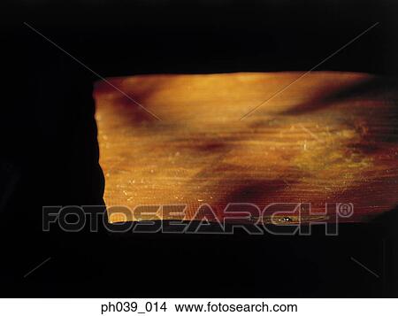Wooden table top View Large Photo Image Picture - Wooden table top. Fotosearch