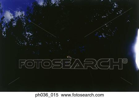Stock Photography - Dragonfly in flight, flapping wings. Fotosearch