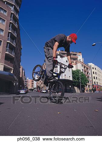 Young man performing bike stunt on street View Large Photo Image Stock Photo - Young man performing bike stunt on street. Fotosearch