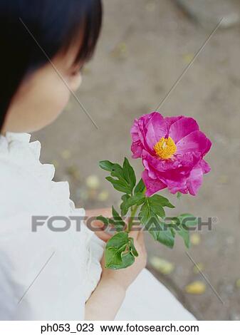 Young girl holding flower, close-up, elevated view View Large Photo Image Stock Image - Young girl holding flower, close-up, elevated view. Fotosearch