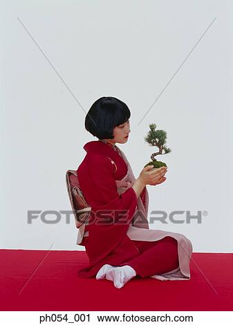 Japanese woman in kimono holding bonsai tree View Large Photo Image Stock Image - Japanese woman in kimono holding bonsai tree. Fotosearch