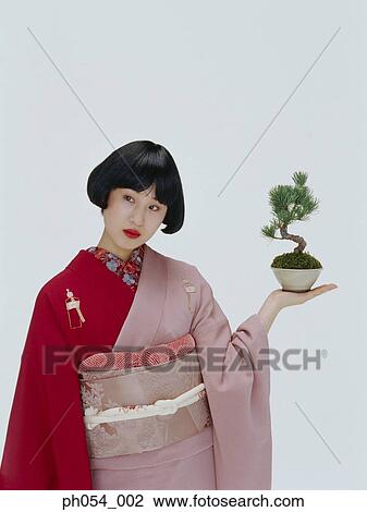 Stock Image - Japanese woman in kimono holding bonsai tree. Fotosearch