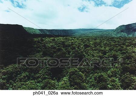 Aerial scenic of green forests, Maui, Hawaii View Large Photo Image Stock Image - Aerial scenic of green forests, Maui, Hawaii. Fotosearch