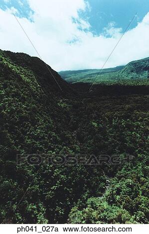 Aerial scenic of green forests, Maui, Hawaii View Large Photo Image Stock Image - Aerial scenic of green forests, Maui, Hawaii. Fotosearch