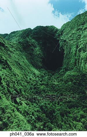 Lush Green Foliage, Maui, Hawaii View Large Photo Image Stock Image - Lush Green Foliage, Maui, Hawaii. Fotosearch
