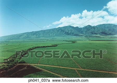 Roads through crop, Maui, Hawaii View Large Photo Image Stock Image - Roads through crop, Maui, Hawaii. Fotosearch