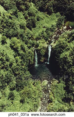 Waterfall in Rainforest, Maui, Hawaii View Large Photo Image Stock Image - Waterfall in Rainforest, Maui, Hawaii. Fotosearch