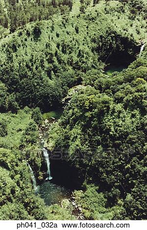 Stock Image - Waterfall in Rainforest, Maui, Hawaii. Fotosearch