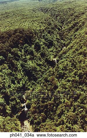 Stock Image - Waterfall in Rainforest, Maui, Hawaii. Fotosearch