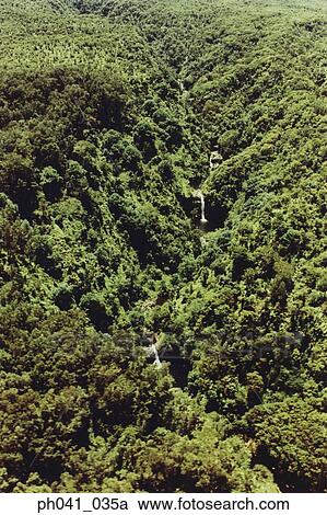 Waterfall in Rainforest, Maui, Hawaii View Large Photo Image Stock Image - Waterfall in Rainforest, Maui, Hawaii. Fotosearch