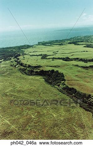 Stock Image - Aerial of lush green foliage, Big Island, Hawaii. Fotosearch