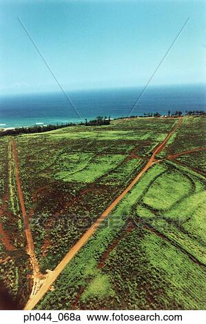 Stock Image - Lands, fields and tracks, Kauai, Hawaii, aerial view. Fotosearch