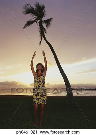 Hawaiian woman dancing at sunset View Large Photo Image Stock Image - Hawaiian woman dancing at sunset . Fotosearch