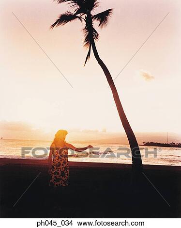 Picture - Silhouette of a female hula dancing outdoors at sunset. . Fotosearch